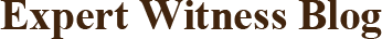 Expert Witness Blog