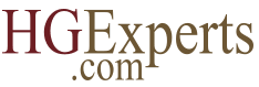 HG Experts